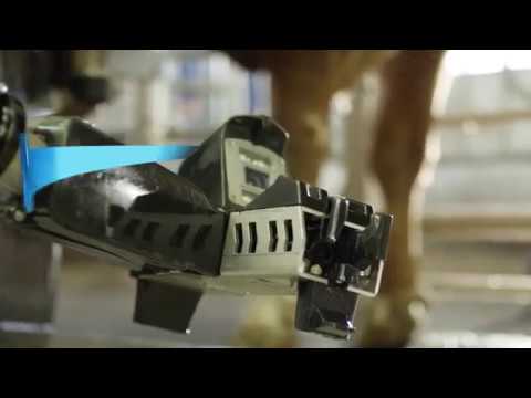 YouTube video player 1